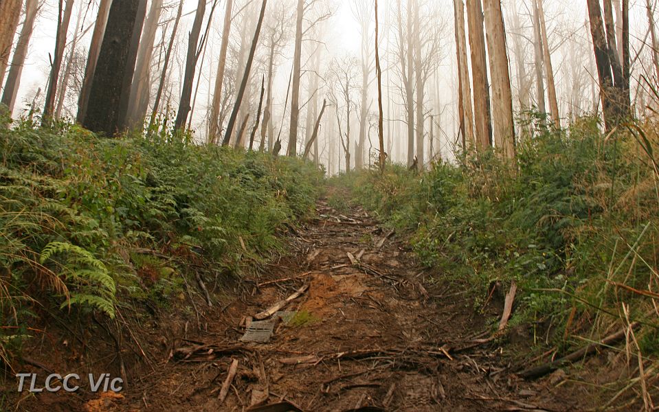 10-Whitehouse fire line track disappearing into the mist.JPG